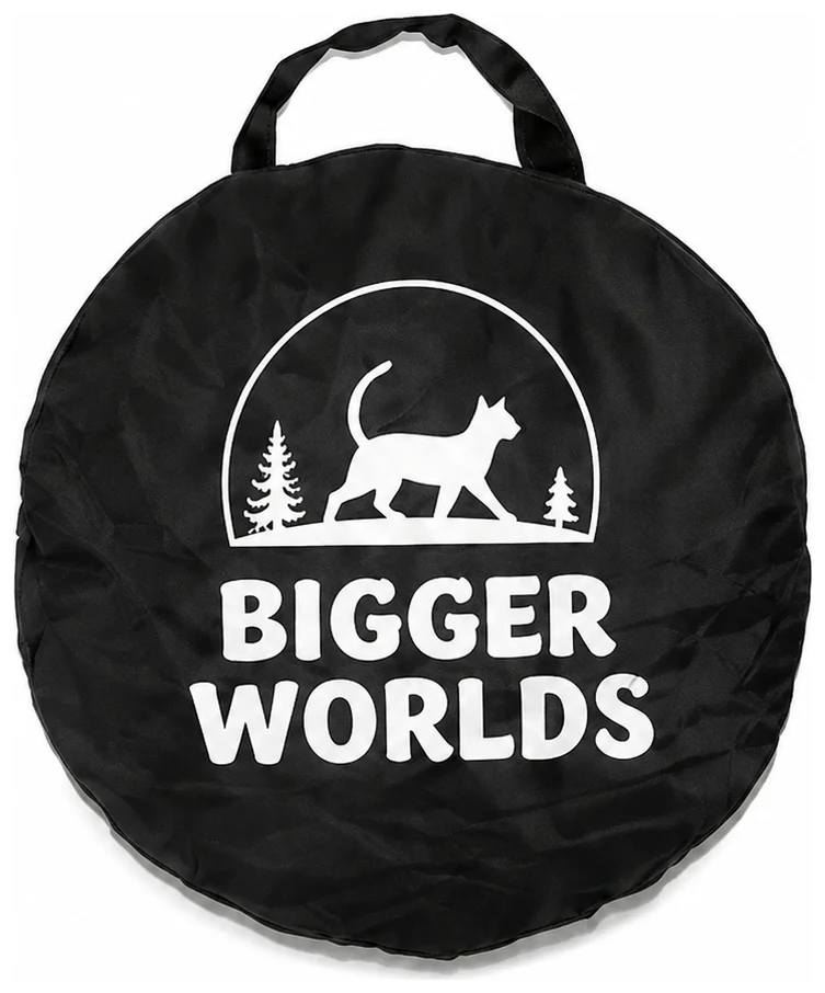 BiggerWorlds branded carry bag